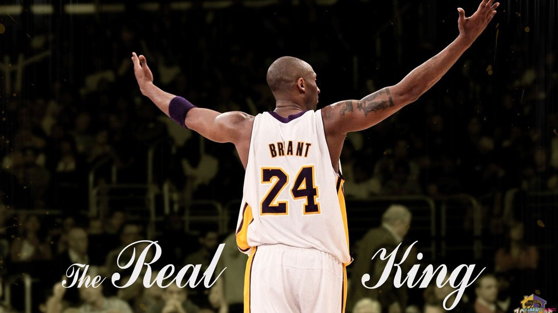 最“默契”的团队安排：战术布局的极致体现，默契的团队配合